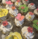 Cupcakes Cupcakes